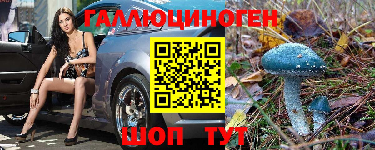 Псилоцибиновые грибы Psilocybine cubensis  Вход с VPN  Елабуга 